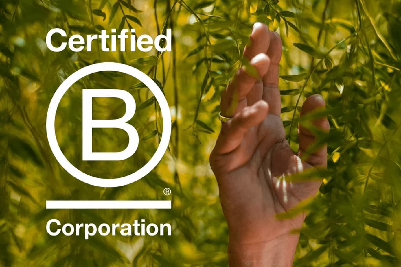 bcorp