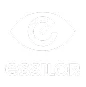 essilor